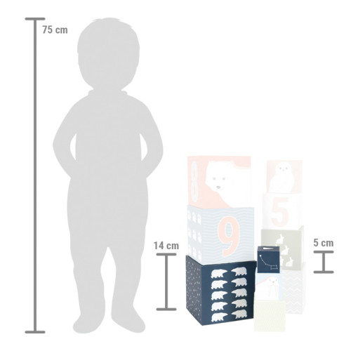 Cuburi de Stivuire Arctice, Joc Educativ pentru Copii - element galerie