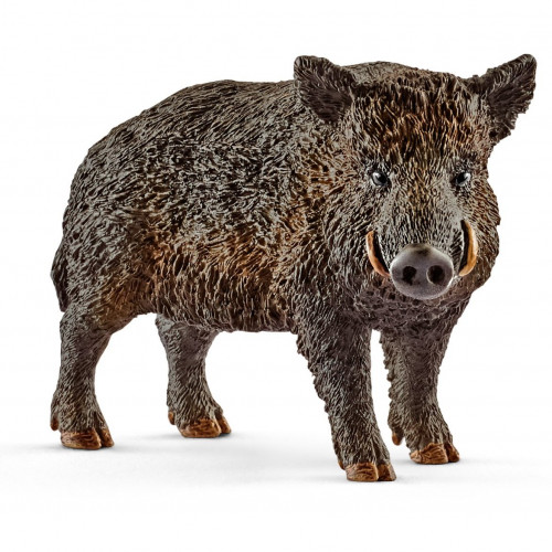 Figurina Schleich 14783, Wild life, Porc mistret