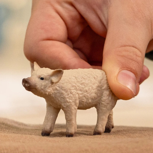 Schleich Farm World – Purceluș mangalița 14893 - element galerie