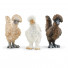 Set Figurine Schleich 42574, Chicken Friends